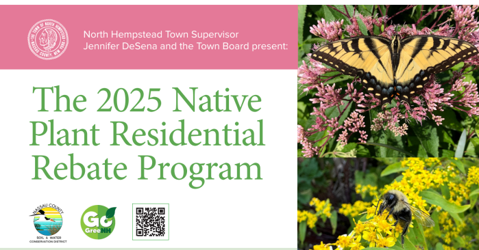 Residents can apply for the Town of North Hempstead's native plant rebate program.
